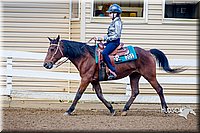 4H-District-16-1079.jpg