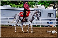 4H-District-16-1208.jpg