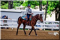 4H-District-16-1219.jpg