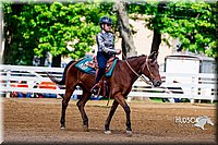 4H-District-16-1221.jpg