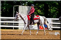 4H-District-16-1229.jpg