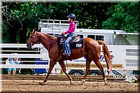 4H-District-16-1234.jpg