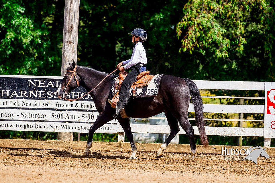 4H-District-16-1543.jpg