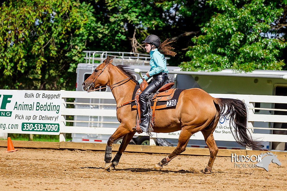 4H-District-16-1603.jpg