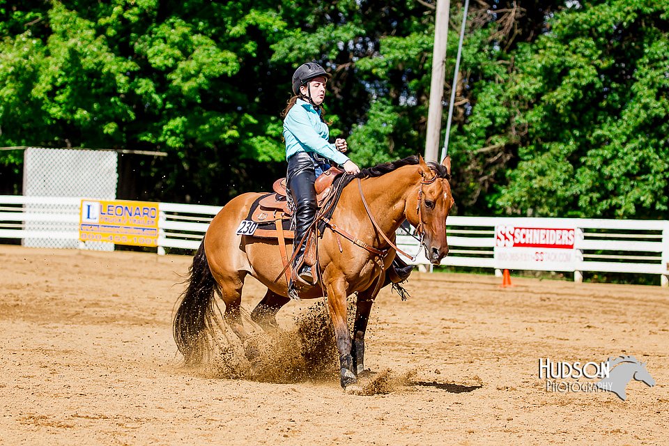 4H-District-16-1610.jpg