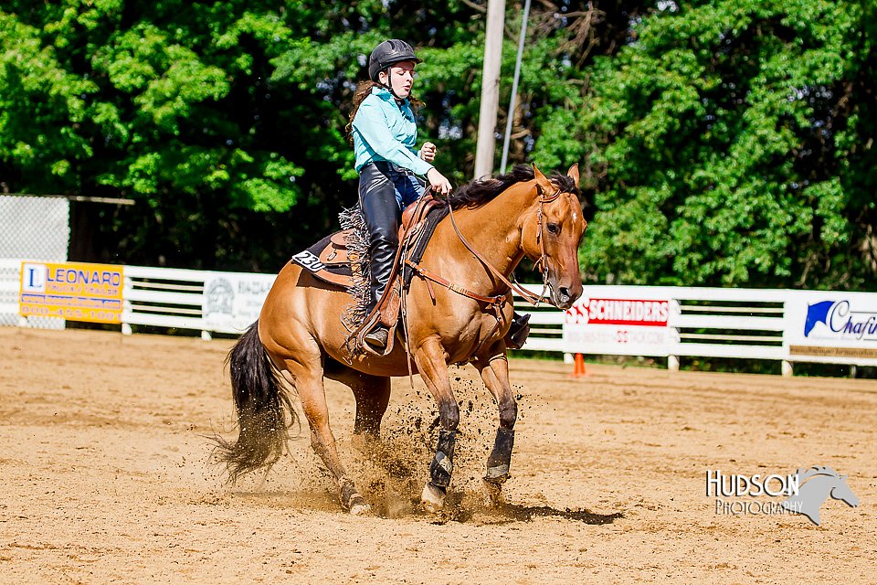 4H-District-16-1612.jpg