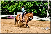 4H-District-16-1605.jpg