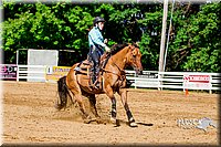 4H-District-16-1608.jpg