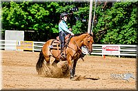 4H-District-16-1610.jpg