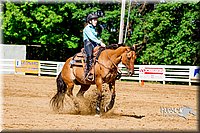 4H-District-16-1611.jpg