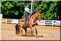 4H-District-16-1613.jpg