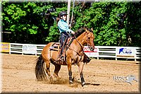 4H-District-16-1614.jpg