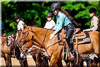 4H-District-16-1635.jpg