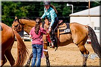 4H-District-16-1640.jpg