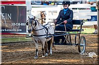 10.Miniature Horse Driving- (14-18)