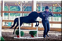 20.Mini Horse Jumping