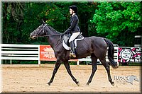 32.Beginner English Equitation