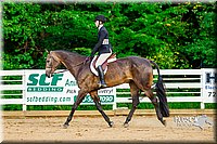 34.Classic Hunter Under Saddle Horses- (14-18)