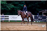 41.Hunt Seat Equitation on the Flat (12-14)