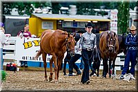 43.Western Grooming and Showmanship (15-18)