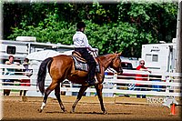 48.Beginners Western Horsemanship