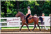 49.Western Pleasure Horse- (14-18)