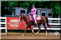 50.Western Pleasure Horse- (8-13)