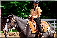 57.Working Western Horse or Pony