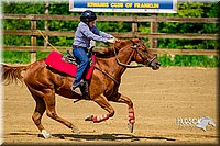 4H-District-Games-082816-0422.jpg