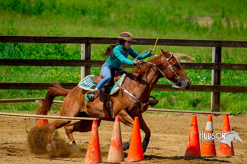 4H-District-Games-082816-0436.jpg