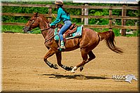 4H-District-Games-082816-0432.jpg