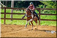 4H-District-Games-082816-0929.jpg