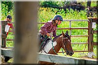 4H-District-Games-082816-0938.jpg