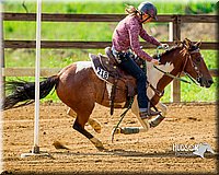 4H-District-Games-082816-0939.jpg