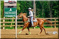 04. Pole Bending Horse  Jr. Rider