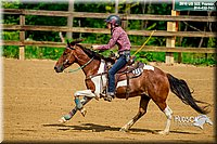 06. Raised Box Keyhole Ponies  Jr. Rider