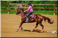 08. Raised Box Keyhole Horse  Jr. Rider