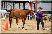 4H-FUN-060416-0003.jpg