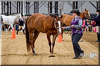 4H-FUN-060416-0008.jpg