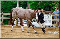 4H-FUN-060416-0036.jpg