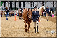 4H-FUN-060416-0073.jpg