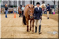 4H-FUN-060416-0074.jpg