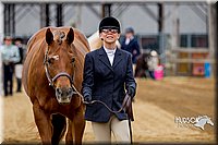 4H-FUN-060416-0075.jpg