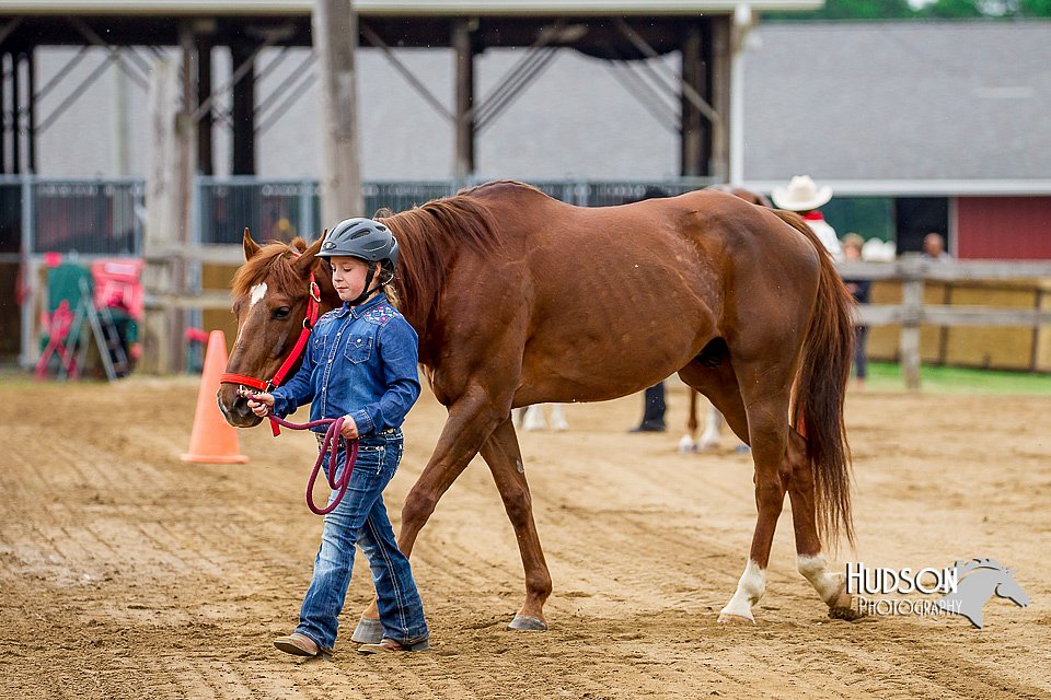 4H-FUN-060416-0160.jpg