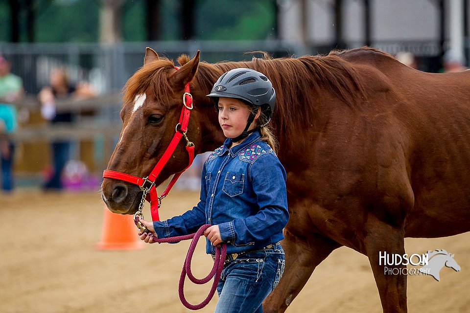 4H-FUN-060416-0163.jpg