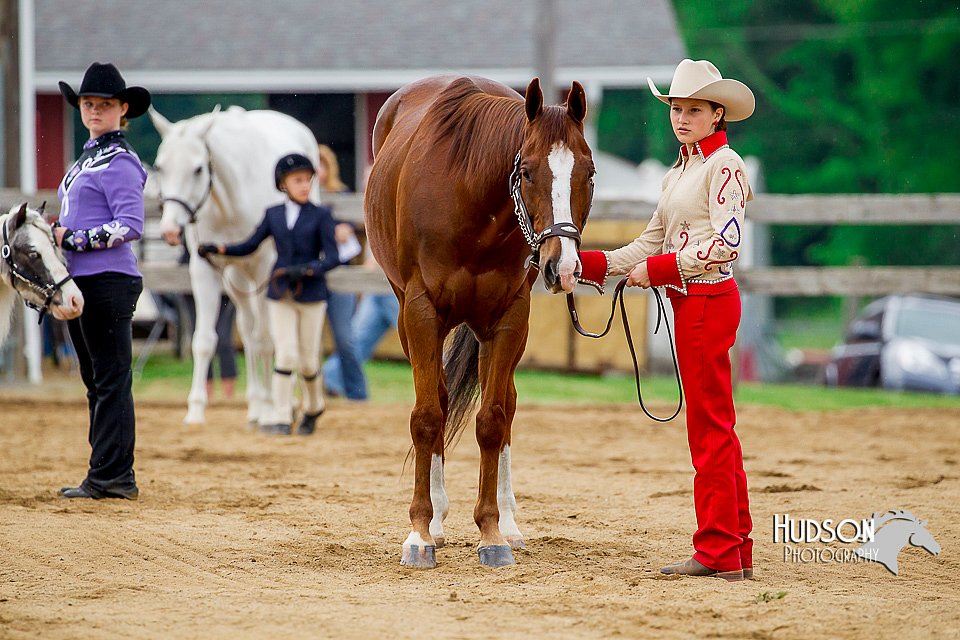 4H-FUN-060416-0166.jpg