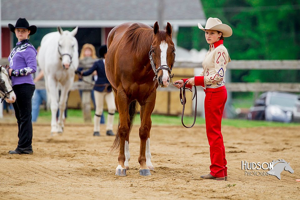 4H-FUN-060416-0167.jpg