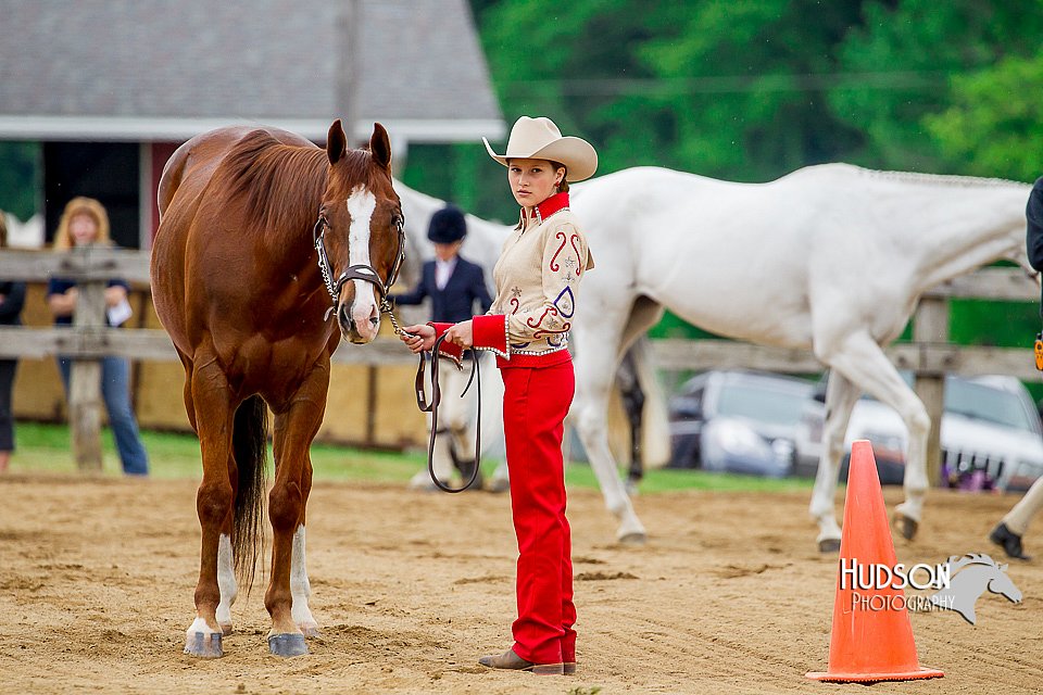 4H-FUN-060416-0168.jpg