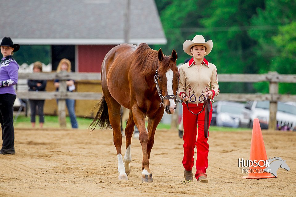 4H-FUN-060416-0169.jpg