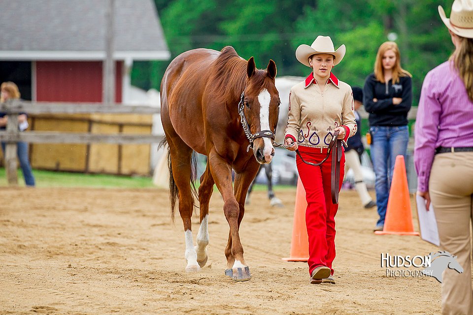 4H-FUN-060416-0171.jpg
